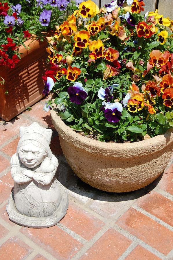 Cheshire Cat Inn & Cottages Santa Barbara Eksteriør billede