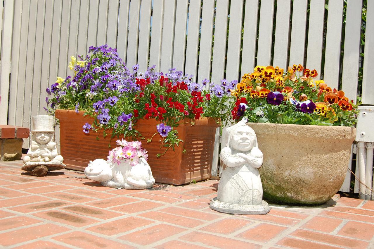 Cheshire Cat Inn & Cottages Santa Barbara Eksteriør billede