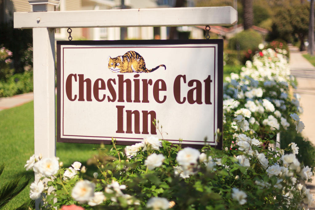 Cheshire Cat Inn & Cottages Santa Barbara Eksteriør billede