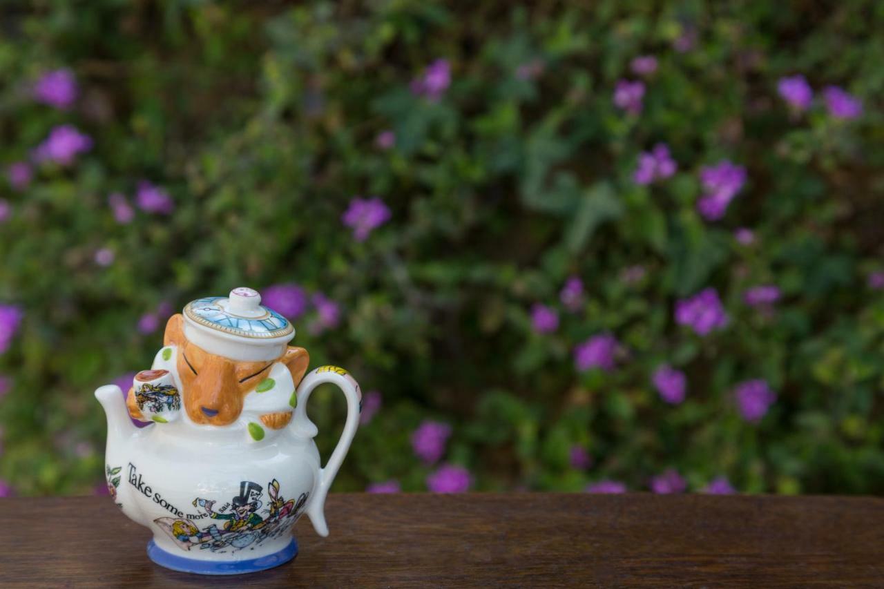 Cheshire Cat Inn & Cottages Santa Barbara Eksteriør billede